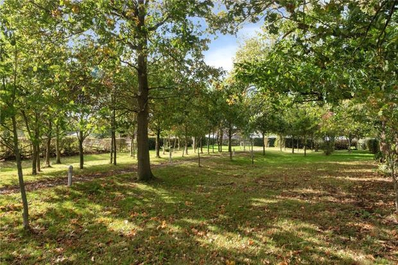 EquestrianProperty4Sale Equestrian Property Search